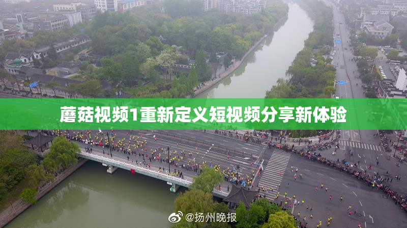 蘑菇视频1重新定义短视频分享新体验