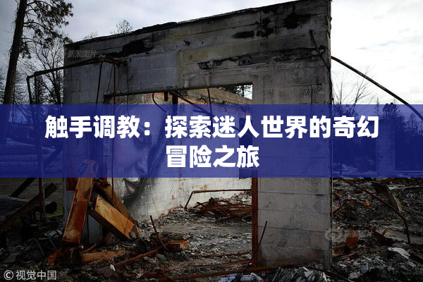 触手调教：探索迷人世界的奇幻冒险之旅