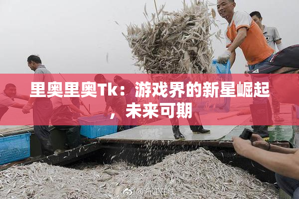 里奥里奥Tk：游戏界的新星崛起，未来可期