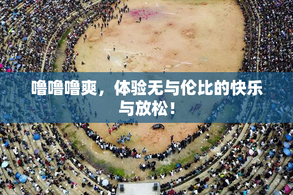 噜噜噜爽，体验无与伦比的快乐与放松！