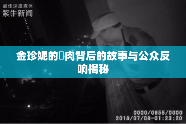 金珍妮的婬肉背后的故事与公众反响揭秘