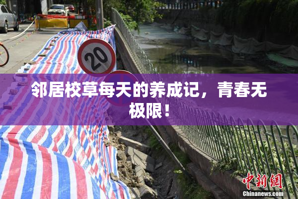 邻居校草每天的养成记，青春无极限！