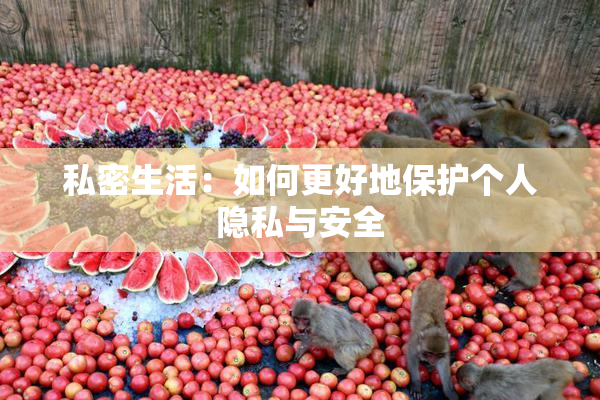 私密生活：如何更好地保护个人隐私与安全