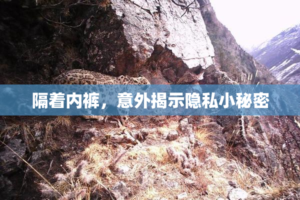隔着内裤，意外揭示隐私小秘密