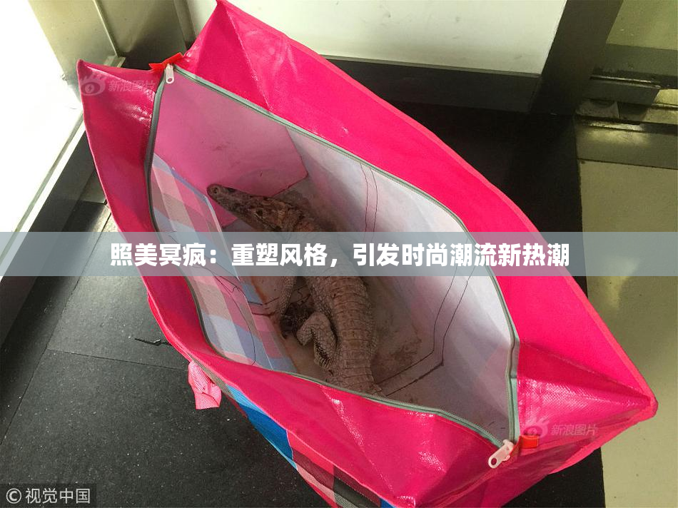 照美冥疯：重塑风格，引发时尚潮流新热潮