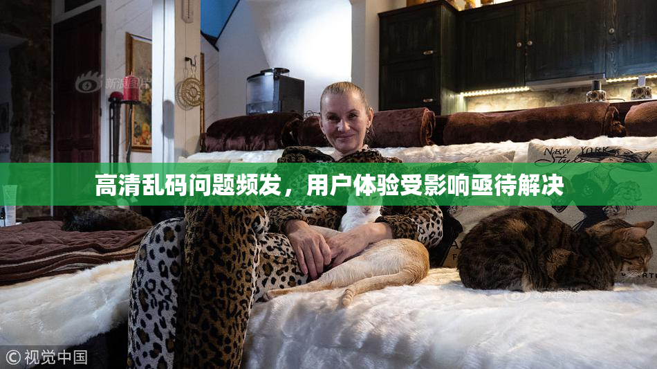 高清乱码问题频发，用户体验受影响亟待解决