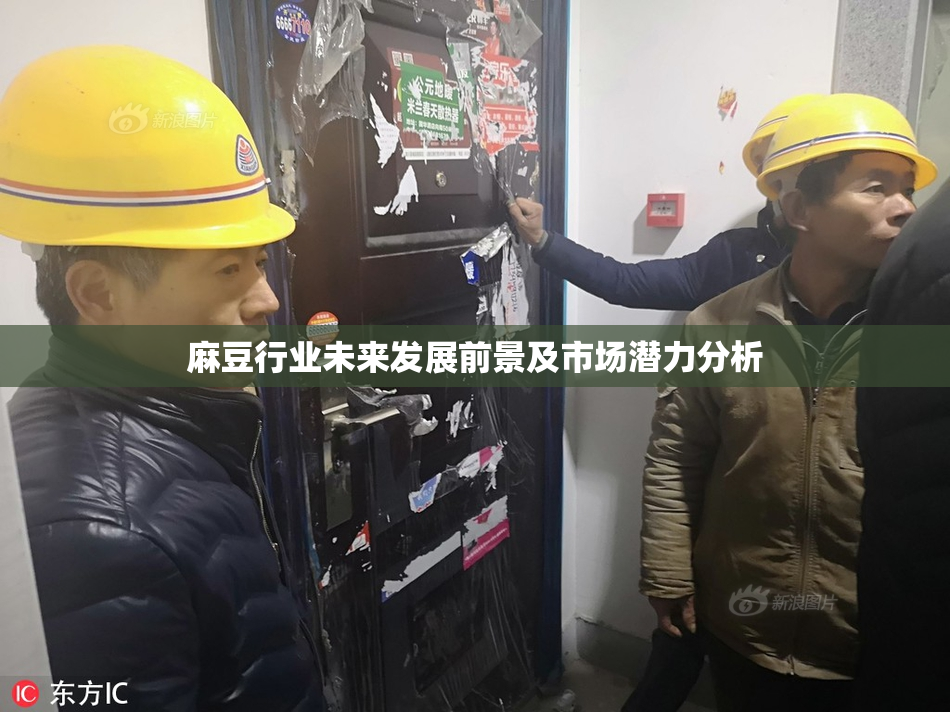 麻豆行业未来发展前景及市场潜力分析