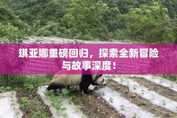 琪亚娜重磅回归，探索全新冒险与故事深度！