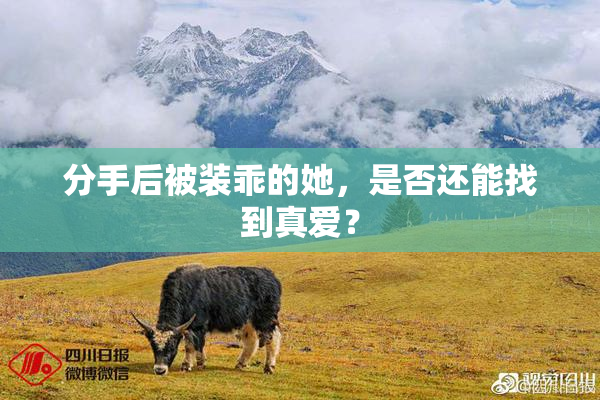 分手后被装乖的她，是否还能找到真爱？