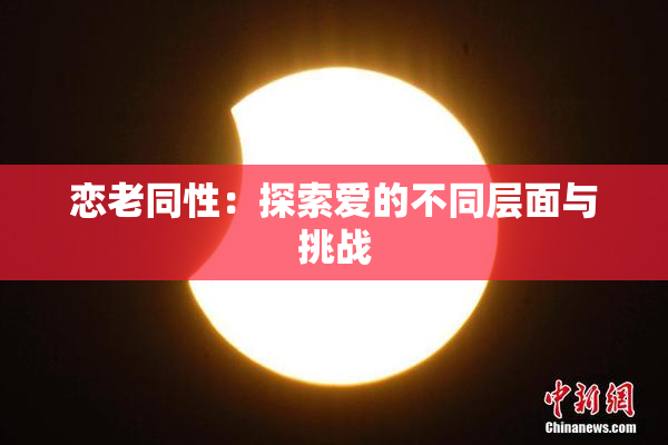 恋老同性：探索爱的不同层面与挑战