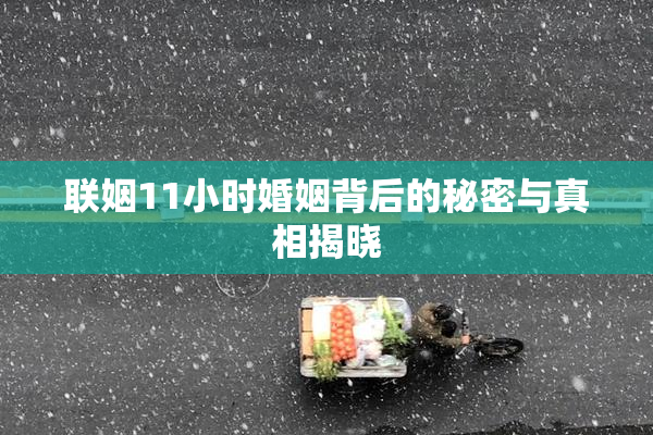 联姻11小时婚姻背后的秘密与真相揭晓