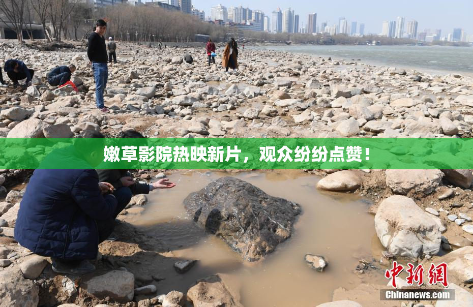 嫩草影院热映新片，观众纷纷点赞！