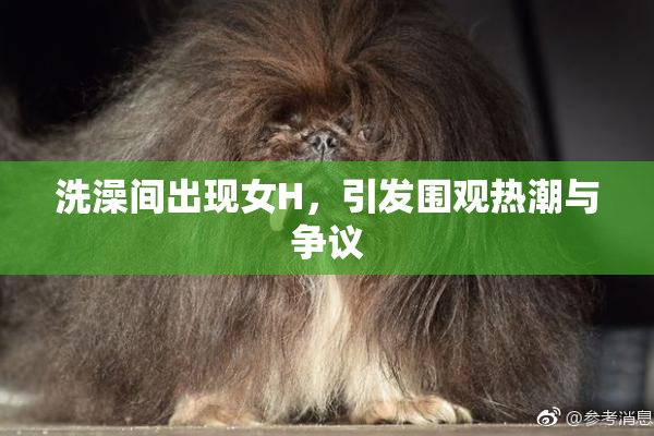 洗澡间出现女H，引发围观热潮与争议