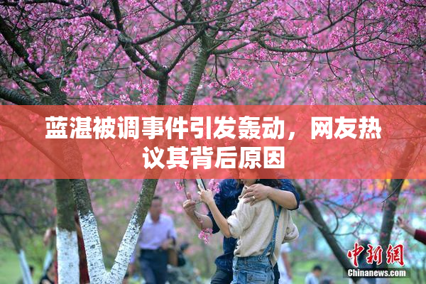蓝湛被调事件引发轰动，网友热议其背后原因