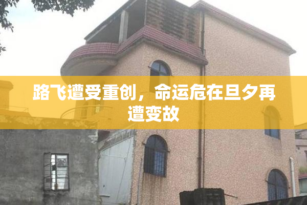 路飞遭受重创，命运危在旦夕再遭变故