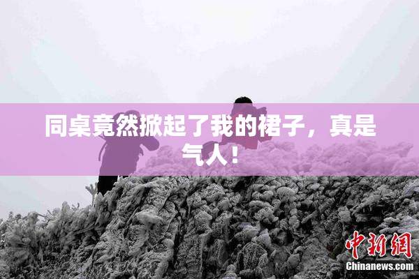 同桌竟然掀起了我的裙子，真是气人！