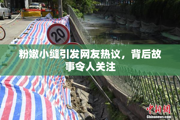 粉嫩小缝引发网友热议，背后故事令人关注