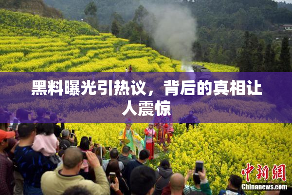 黑料曝光引热议，背后的真相让人震惊