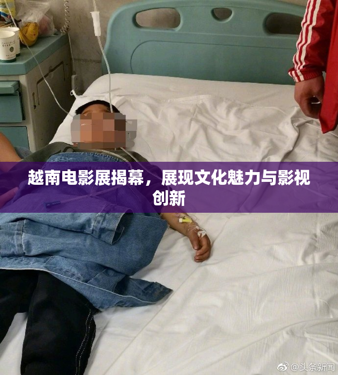 越南电影展揭幕，展现文化魅力与影视创新