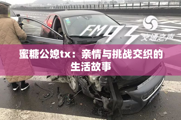 蜜糖公媳tx：亲情与挑战交织的生活故事