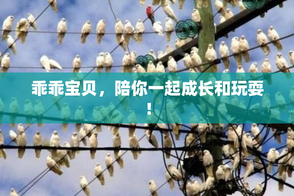 乖乖宝贝，陪你一起成长和玩耍！