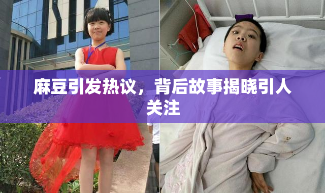 麻豆引发热议，背后故事揭晓引人关注