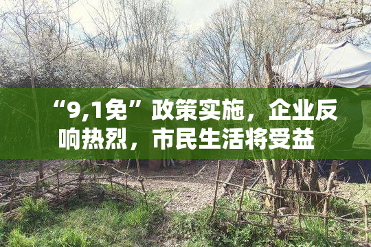 “9,1免”政策实施，企业反响热烈，市民生活将受益