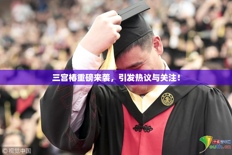 三宫椿重磅来袭，引发热议与关注！