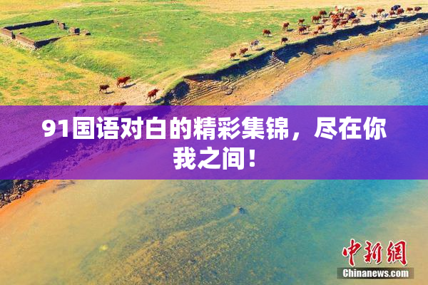 91国语对白的精彩集锦，尽在你我之间！