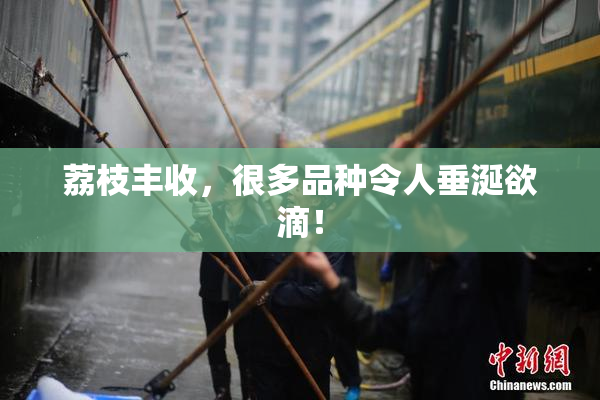 荔枝丰收，很多品种令人垂涎欲滴！