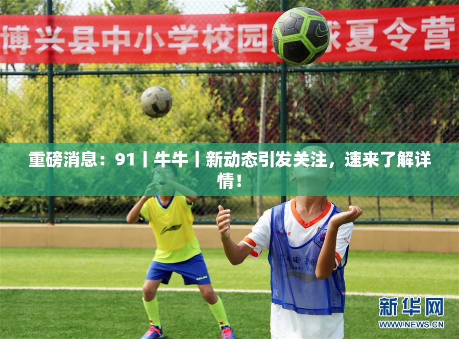 重磅消息：91丨牛牛丨新动态引发关注，速来了解详情！