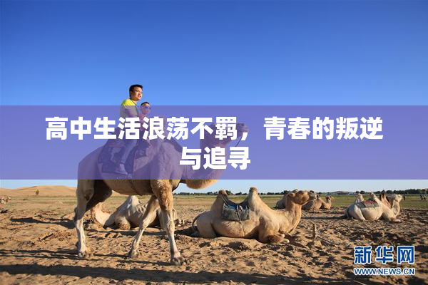 高中生活浪荡不羁，青春的叛逆与追寻