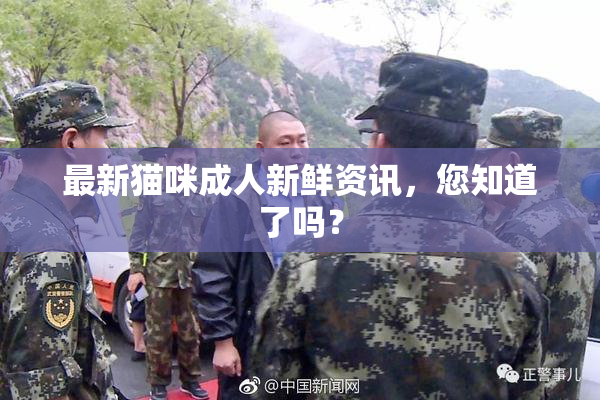 最新猫咪成人新鲜资讯，您知道了吗？