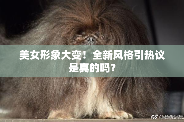 美女形象大变！全新风格引热议是真的吗？
