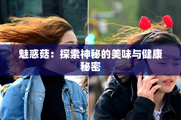 魅惑菇：探索神秘的美味与健康秘密