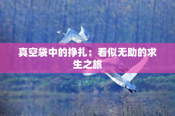 真空袋中的挣扎：看似无助的求生之旅