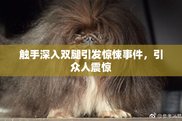 触手深入双腿引发惊悚事件，引众人震惊