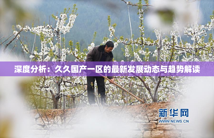 深度分析：久久国产一区的最新发展动态与趋势解读