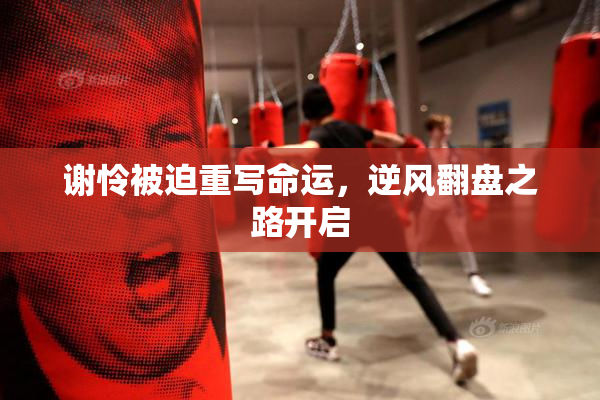 谢怜被迫重写命运，逆风翻盘之路开启