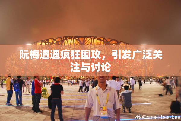 阮梅遭遇疯狂围攻，引发广泛关注与讨论