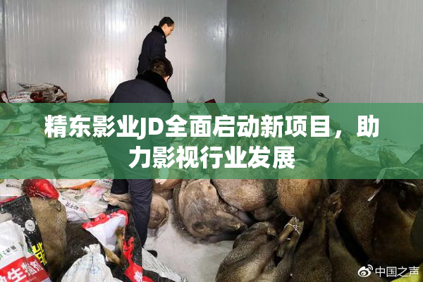 精东影业JD全面启动新项目，助力影视行业发展