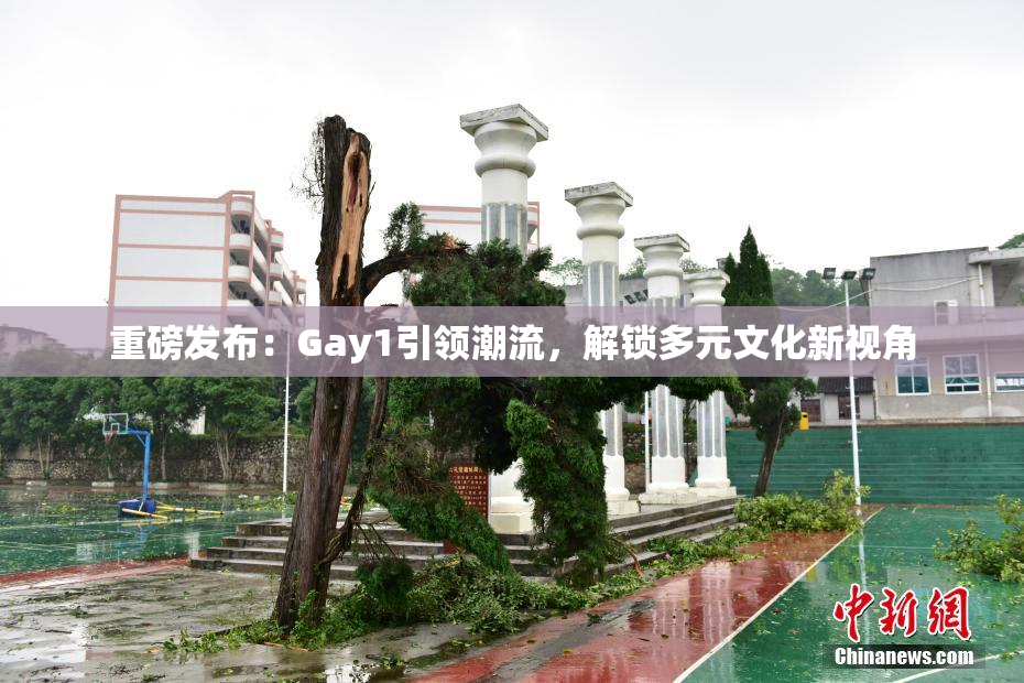 重磅发布：Gay1引领潮流，解锁多元文化新视角