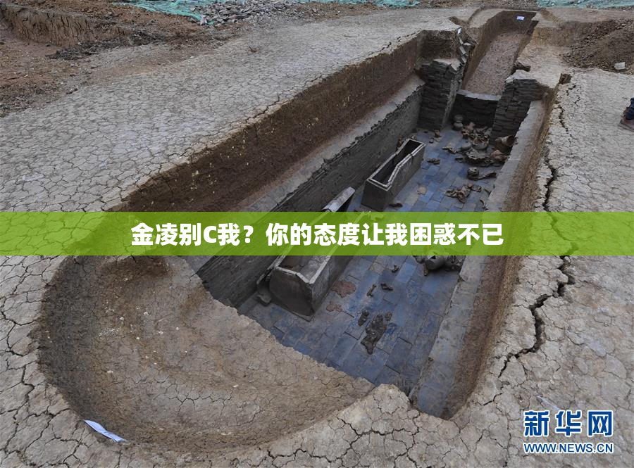 金凌别C我？你的态度让我困惑不已
