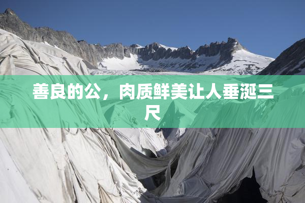 善良的公，肉质鲜美让人垂涎三尺