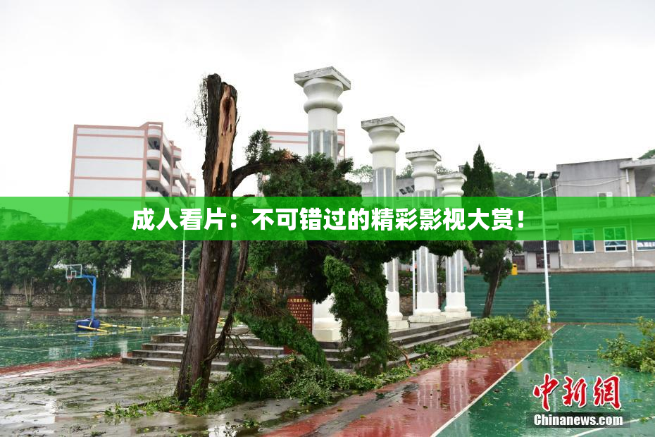 成人看片：不可错过的精彩影视大赏！