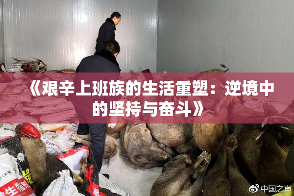 《艰辛上班族的生活重塑：逆境中的坚持与奋斗》