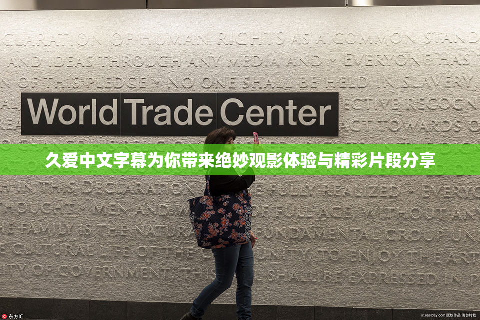 久爱中文字幕为你带来绝妙观影体验与精彩片段分享