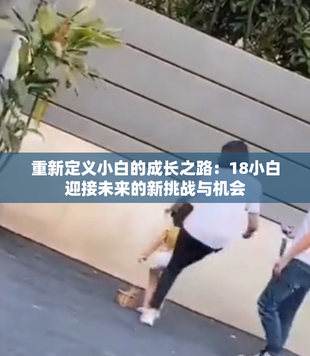 重新定义小白的成长之路：18小白迎接未来的新挑战与机会