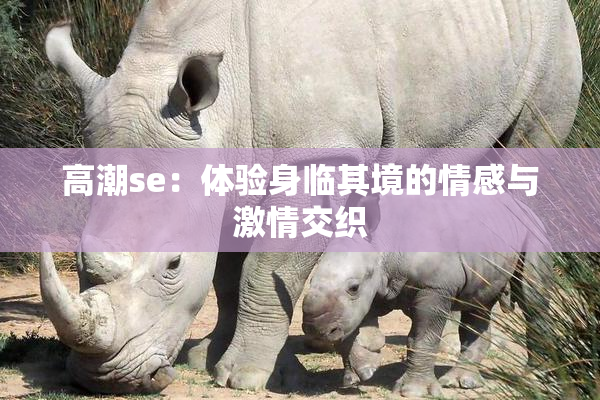 高潮se：体验身临其境的情感与激情交织