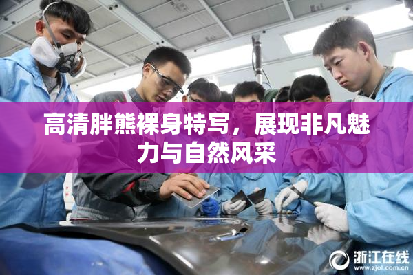 高清胖熊裸身特写，展现非凡魅力与自然风采